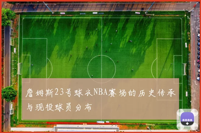詹姆斯23号球衣NBA赛场的历史传承与现役球员分布
