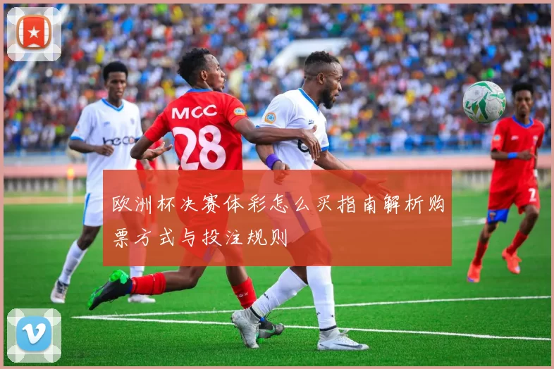 欧洲杯决赛体彩怎么买指南解析购票方式与投注规则
