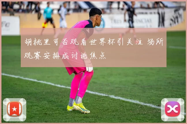 胡桃里可否观看世界杯引关注 场所观赛安排成讨论焦点