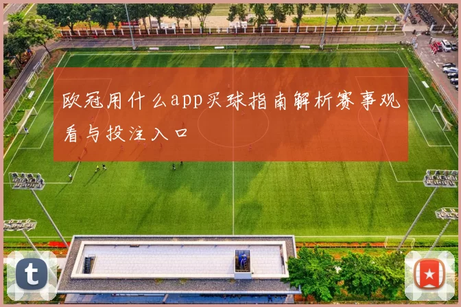 欧冠用什么app买球指南解析赛事观看与投注入口