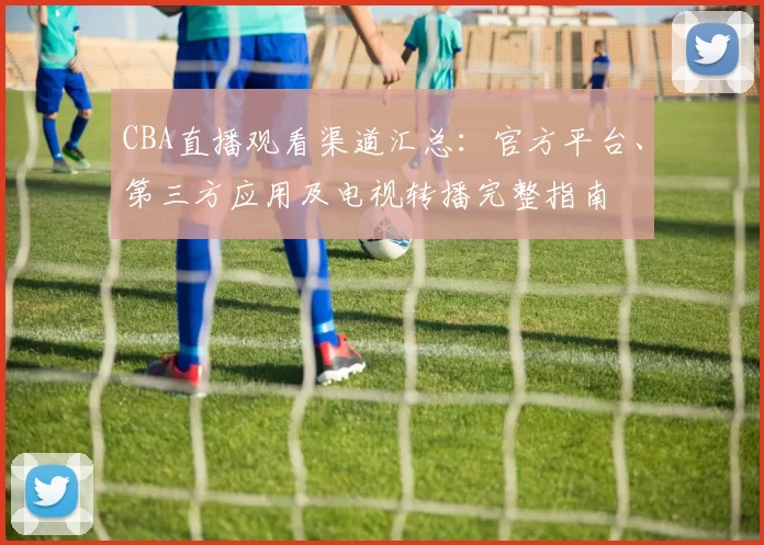 CBA直播观看渠道汇总:官方平台、第三方应用及电视转播完整指南