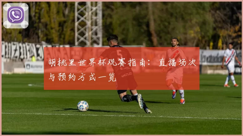 胡桃里世界杯观赛指南:直播场次与预约方式一览