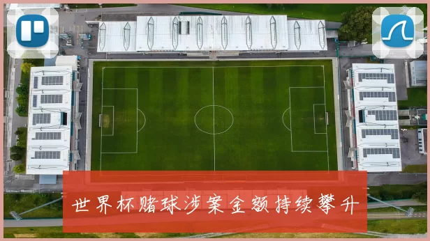 世界杯赌球涉案金额持续攀升