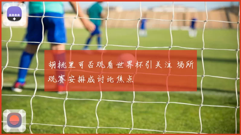 胡桃里可否观看世界杯引关注 场所观赛安排成讨论焦点