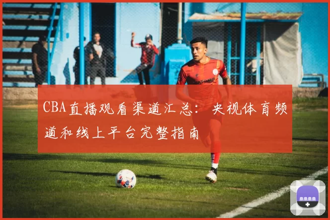 CBA直播观看渠道汇总：央视体育频道和线上平台完整指南